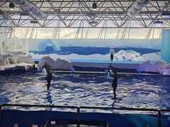 -秦皇岛乐岛海洋王国