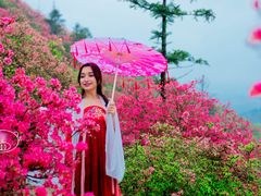 -木兰云雾山
