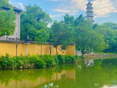 -江心屿景区