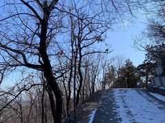 -北京鹫峰国家森林公园