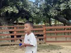 -盈香心动乐园
