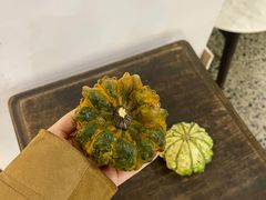 -侘寂甜品(自取店)