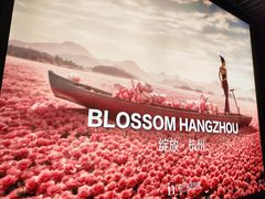-杭州湖滨in77