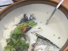 -全乐鱼馆·淳牌有机鱼直营店