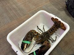 -鱼乐轩海鲜专门店
