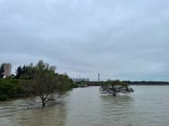 -宝安西湾红树林湿地公园