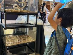 -国际非物质文化遗产博览园
