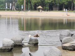 -上海月湖雕塑公园