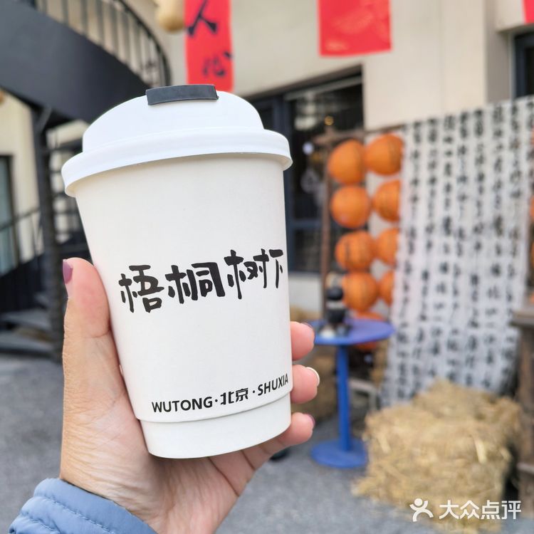 📌梧桐树下的咖啡☕｜不光香还超级浪漫