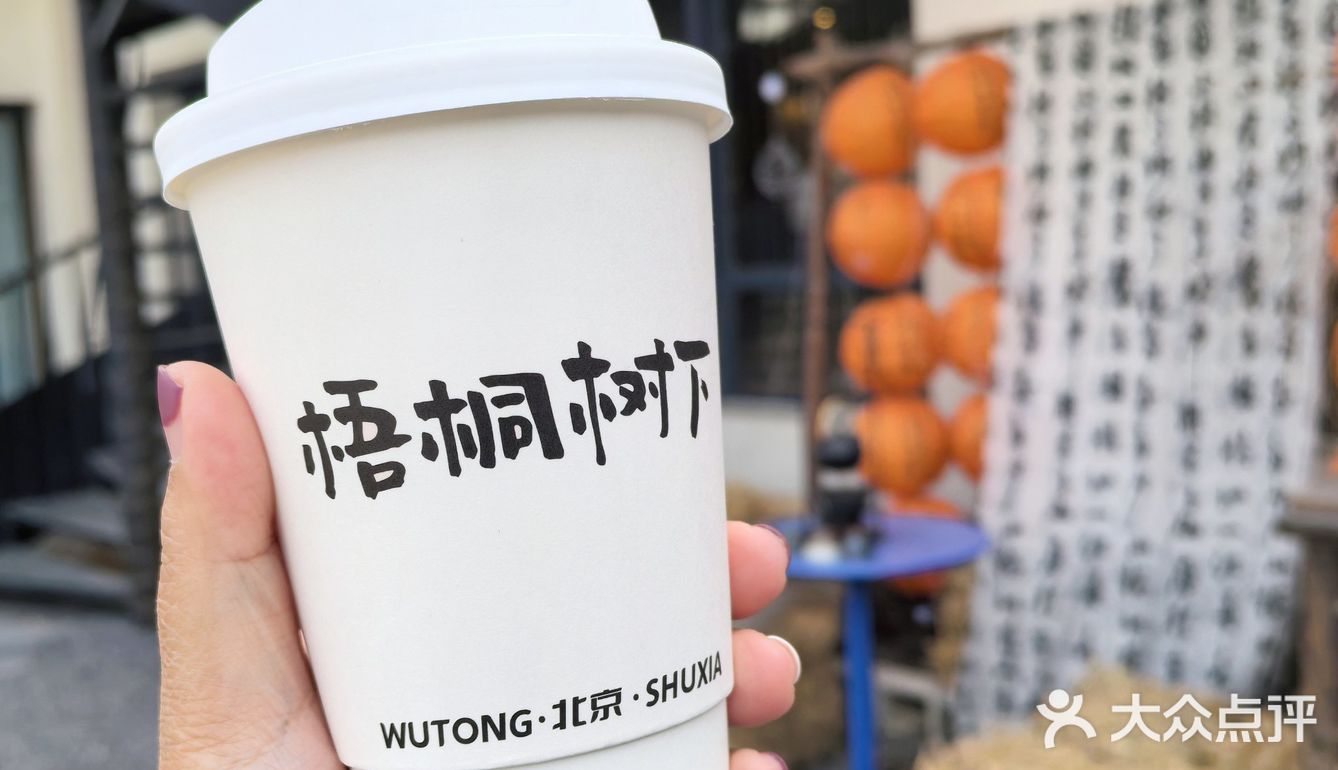 📌梧桐树下的咖啡☕｜不光香还超级浪漫