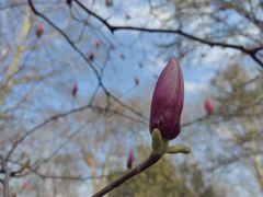 -菊花台公园