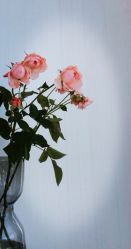 -JNK皮肤管理中心