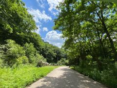 -青峰峡国家森林公园