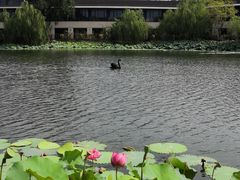 -上海怡沁园度假酒店