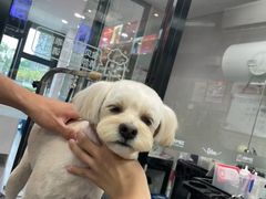 -宠物家(长阳店)