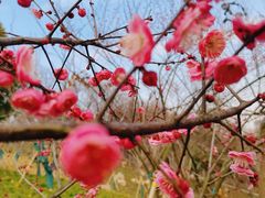 -幕燕滨江·长江观音景区