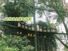 -广州长隆野生动物世界