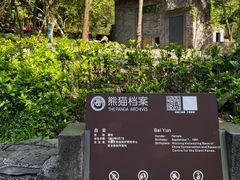-都江堰中华大熊猫苑