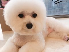 -MOLLY'S萌宠生活馆