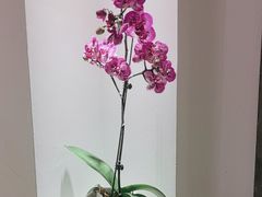 -唐诗楼(康宁店)