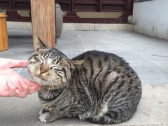 -苏州文旅花间堂·探花府酒店