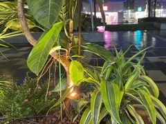 -木屋烧烤(坂田天安云谷店)