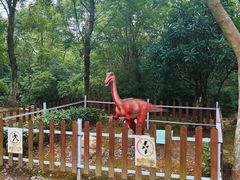 -上海海湾国家森林公园