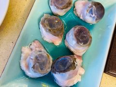 -齐海鱼圣深海石斑鱼火锅店(极地海洋世界店)