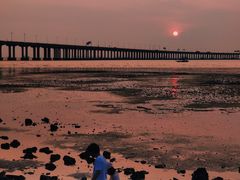 -宝安西湾红树林湿地公园