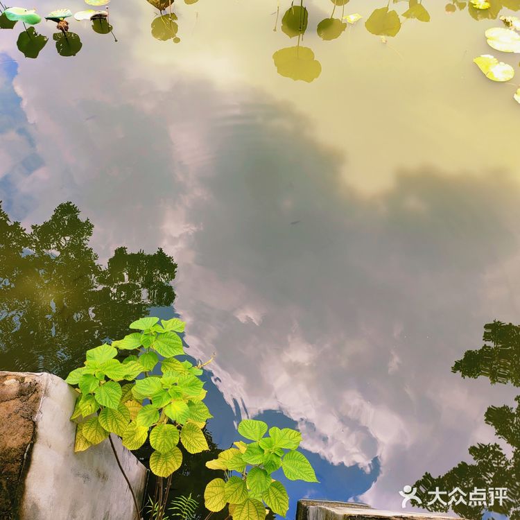 佛山三水区一日游[吐]