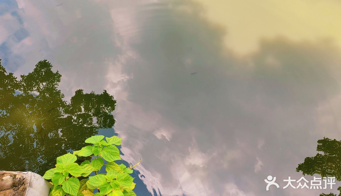 佛山三水区一日游[吐]