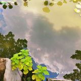 佛山三水区一日游[吐]