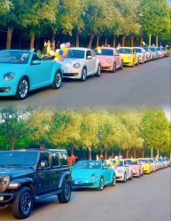 -喜乐汇·婚车(华润橡树湾3期店)