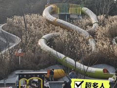 -杭州少年儿童公园