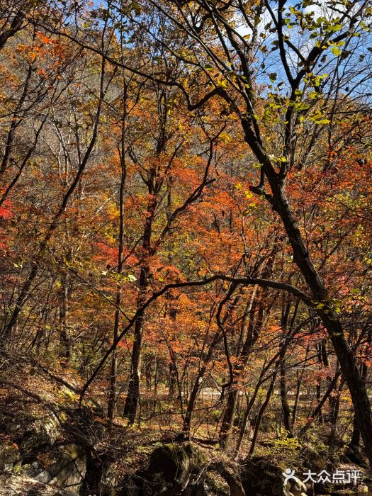 丹东天桥沟景区图片