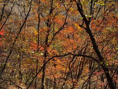 -丹东天桥沟景区