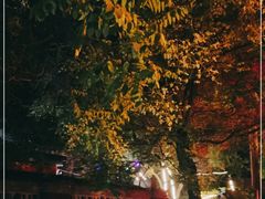 -正宗天津烧麦馆(柳州路店)