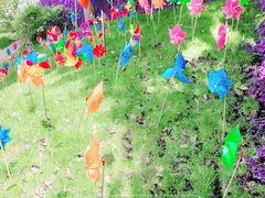 -洪崖丹井