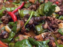 -食鸡公社辣子鸡·潍坊菜·烧烤