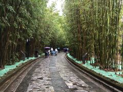 -蝴蝶泉公园