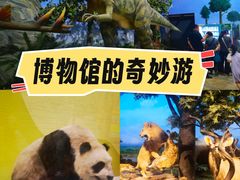 -国家自然博物馆