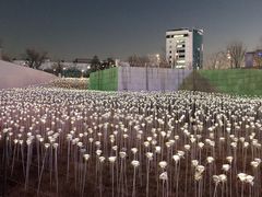 -东大门市场
