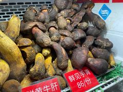 -太婆天府山珍酒楼(亚运村店)