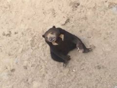 -石家庄市动物园