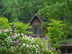 -九如山休闲旅游度假区