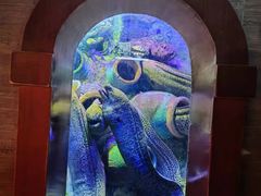 -太平洋海底世界