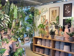 -自由生长植物工作室(深港花卉中心店)