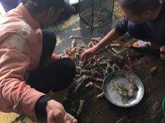 -罗源湾8号渔排