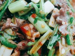 -荥清饭店