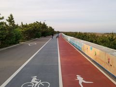 -日照海滨国家森林公园
